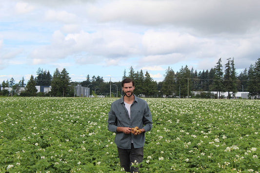 Man in Potato Field